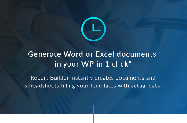 Add-on Report Builder pour wpDataTables - Générer des documents Word DOCX et Excel XLSX - 4