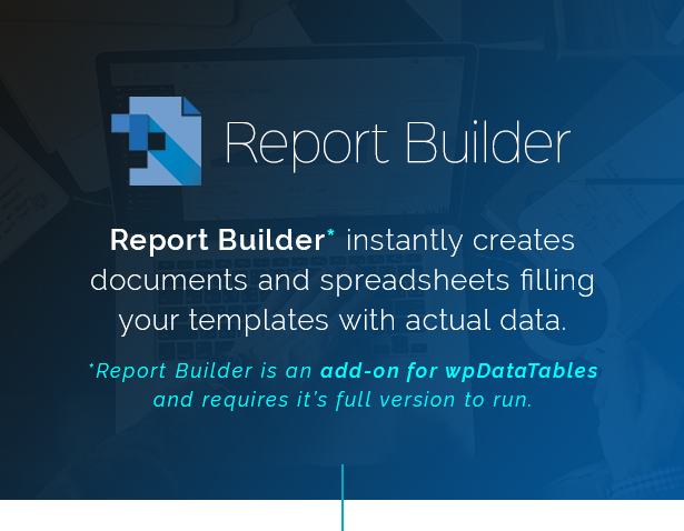 Report Builder add-on for wpDataTables - Generate Word DOCX and Excel XLSX documents - 1